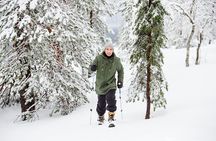 Premium Wilderness Skiing in Pyhä-Luosto National Park