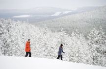 Premium Wilderness Skiing in Pyhä-Luosto National Park