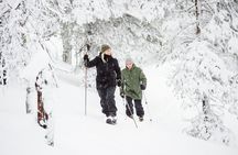 Premium Wilderness Skiing in Pyhä-Luosto National Park