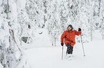 Premium Snowshoeing in Pyhä-Luosto National Park