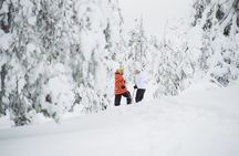 Premium Snowshoeing in Pyhä-Luosto National Park