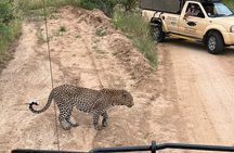 Kruger Park Safari Private Full-Day Tour from Malelane
