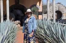 Tequila Day Trip