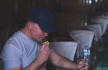 Tequila Day Trip