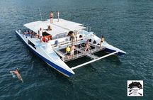 Catamaran Snorkeling at Caño Island from Drake Bay