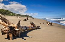 "Discover Fiji's Hidden Gems: Eco Park, Pottery Village & Dunes!"