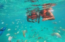 Half-Day Snorkeling Cruise and Natural Pool with Open Bar