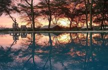 From Arusha: 11 Days famous Serengeti Inside out safari trip