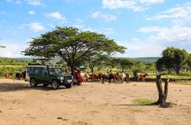 Nairobi National Park, Elephant Orphanage & Giraffe Center tour.