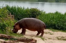Private 3-Day Tour in Queen Elizabeth Park Safari