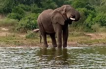 Private 3-Day Tour in Queen Elizabeth Park Safari