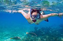 Private Half Day Tour in Cenote Cave and Swimming with Turtles