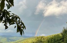 2.5-3 hour Smoky Mountain Cherokee Blue Ridge Parkway Safari tour