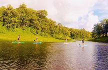 Paddle Board Private Tour Nuevo Arenal, Lake Arenal