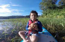 Paddle Board Private Tour Nuevo Arenal, Lake Arenal