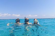 Acquarius Stingray City and Snorkel Tours
