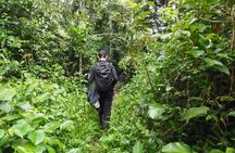5 Day-4 Nights Extreme Private Amazon Experience