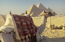 Private Tour Giza Pyramids, Sakkara, Memphis, Lunch & Camel Rides