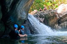 Half-Day Tour: El Yunque Rainforest and Waterslide Adventure