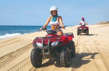 Los Cabos Migriño Atv Beach and Desert Adventure