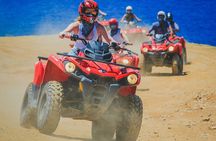 Los Cabos Migriño Atv Beach and Desert Adventure
