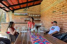 The Essence of Tequila Experience