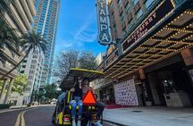 Tampa Bar Crawl on a 2023 Street Legal Golf Cart