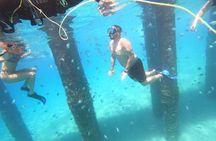 Coral Reef Snorkel Adventure with Photos and Videos