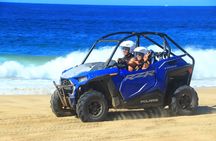 Razor UTV Beach and Desert Experience