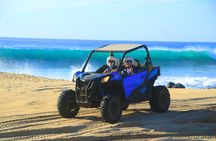 Razor UTV Beach and Desert Experience