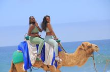 2-Hour Camel Ride Beach and Desert Adventure Experience