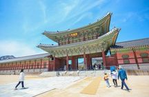 Layover & Stopover in Seoul/private Tour