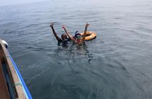 Full Day Dolphin Watching with Snorkeling in Wasini