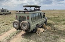 5 Days Budget Joining Adventure Camping Safari