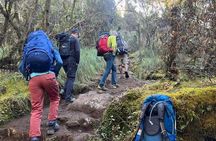 7-Day Private Kilimanjaro Trekking via Rongai Route