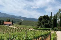 Athens Wine Tour - An Outstanding Full Day Experience For Dedicated Winelovers