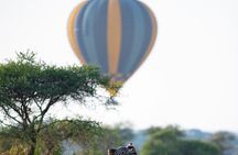 3 Days Taste of Tanzania Standard Safari