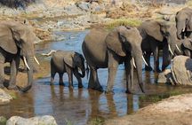 3-Day Camping Safari Tarangire, Lake Manyara & Ngorongoro crater