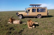 3-Day Camping Safari Tarangire, Lake Manyara & Ngorongoro crater