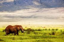 5 day 4 Nights Private Adventure Camping Norther Tanzania Safari 