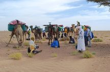 4 days trek - The legs of camels