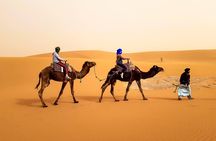 4 days trek - The legs of camels
