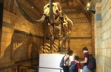 The Natural History Museum Guided Tour in London 