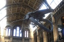 The Natural History Museum Guided Tour in London 