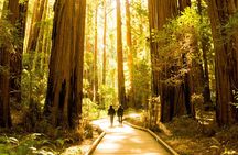 Muir Woods & Sausalito Tour + Hop-On Hop-Off Tour