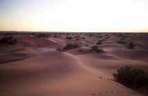 5-day trek - In the Draa Valley