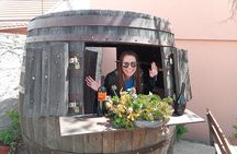 Krka Waterfalls & Wine and Cheese Tasting Tour from Split