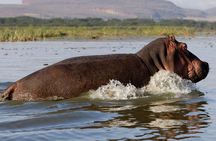 5 Days Masai Mara, Lake Nakuru & Naivasha Budget Joining Safari