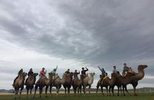 7 days Central Mongolia and Great Gobi