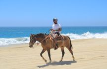 Horseback Riding Beach and Desert Adventure
